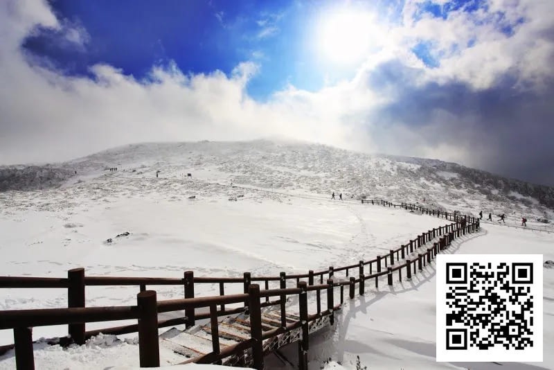 素白绒雪铺满济州，SUPER CUP掀起新年热潮！开幕赛200人次26人晋级！一起见证冠军产生！【SUPER CUP济州】